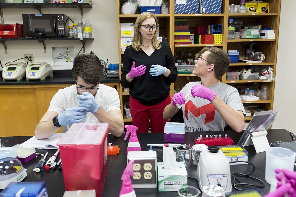Associate Professor Stacy Donovan helps students in a biology lab at Maryville University