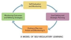 Self regulatory model