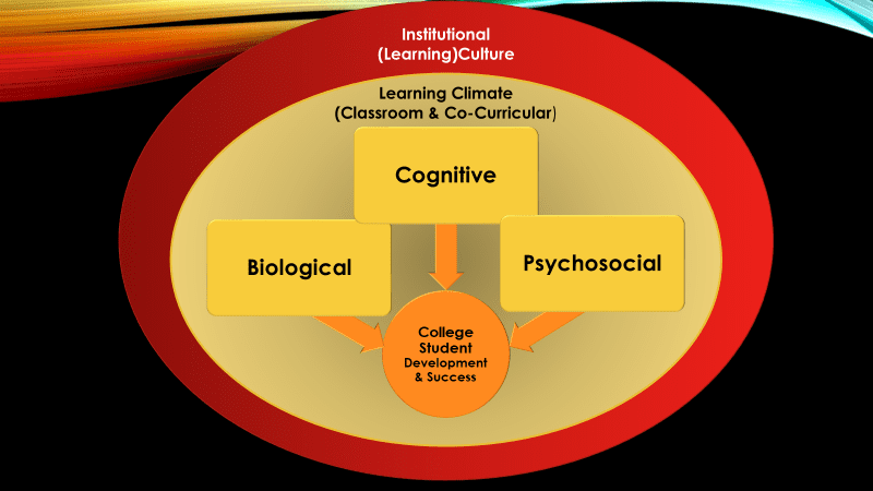 institutional learning culture chart