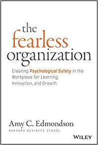 The fearless learning organization:  book cover