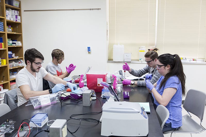 Maryville University students in chemistry lab