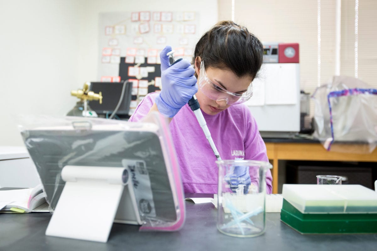 student working in lab