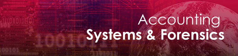 acctInformationSystems