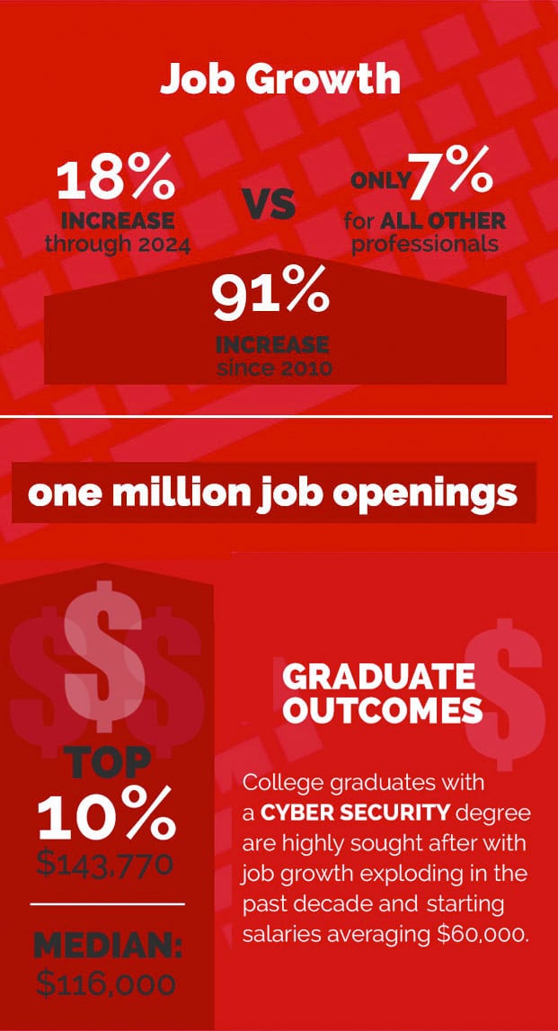 Cyber Security Infographic