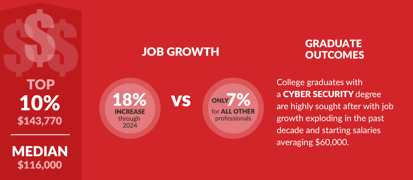 Cyber Security Infographic