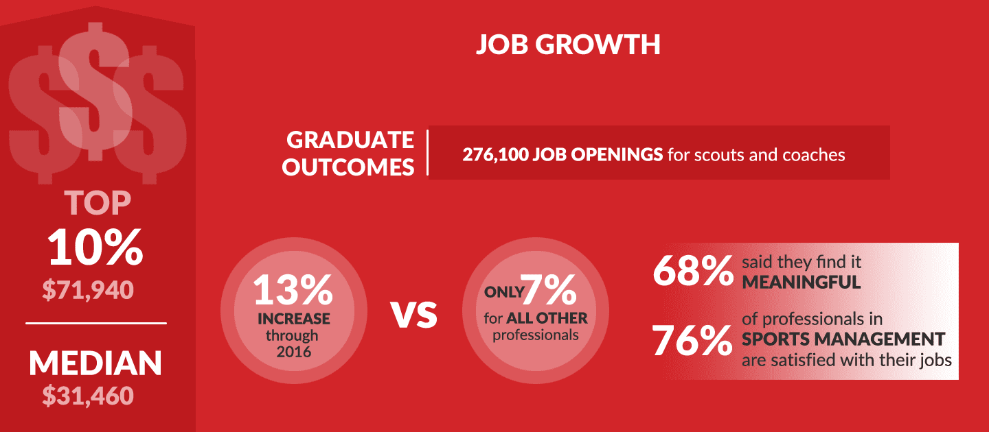 Sport Business Managment Infographic