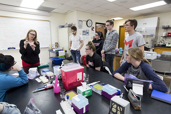 associate professor Stacy Donovan helps students find their true paths