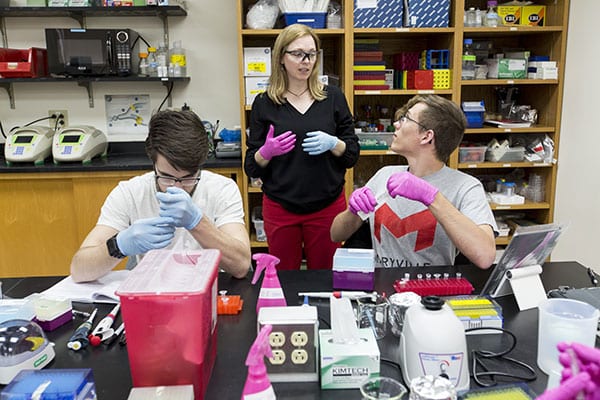 associate professor Stacy Donovan helps students find their true paths