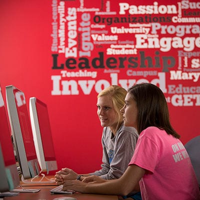 four themes for strategic plan