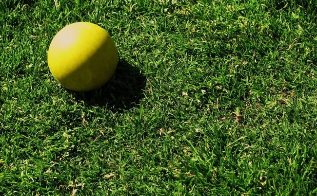 rp_primary_Lacrosse_ball_on_field